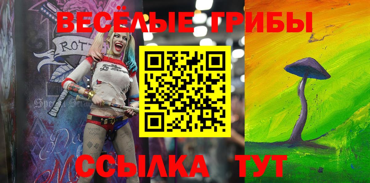 Галлюциногенные грибы Psilocybine cubensis Новокузнецк