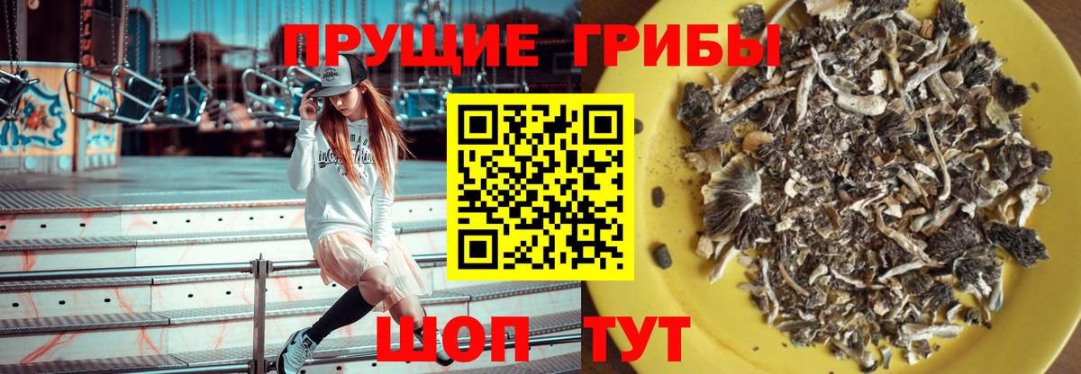 купить  цена  Псилоцибиновые грибы Psilocybine cubensis  Вход с VPN  Новокузнецк 
